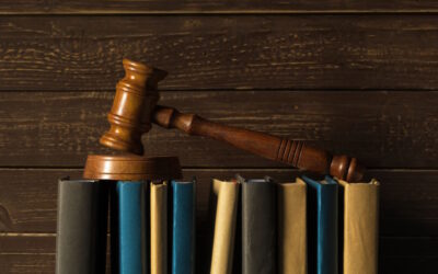 Possibili Azioni di Risarcimento che le ditte possono subire dai Lavoratori Dipendenti e  un caso di concorrenza sleale